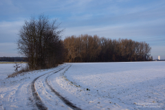 Winter Wunderland in Braunschweig - Januar 21_23